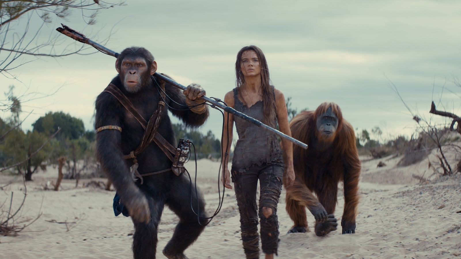 Kingdom of the Planet of the Apes