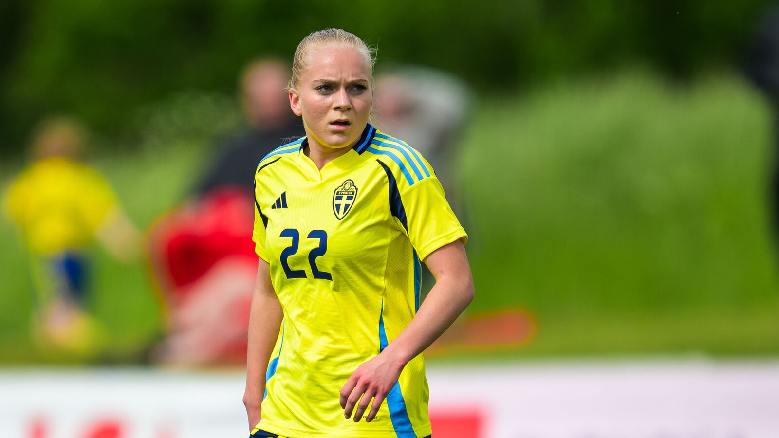 Sverige - Polen
