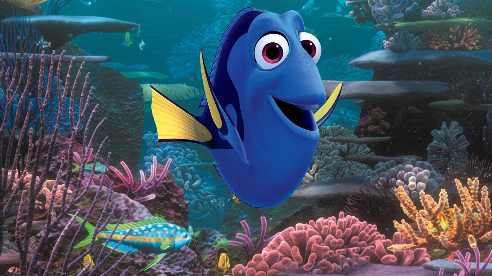 Find Dory