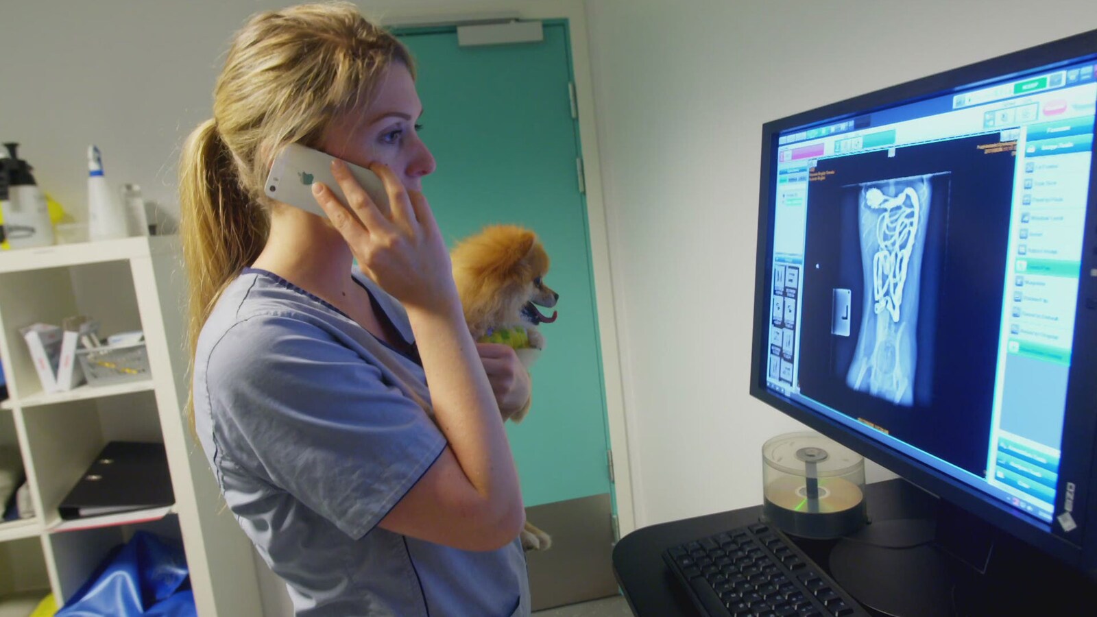 Veterinærene