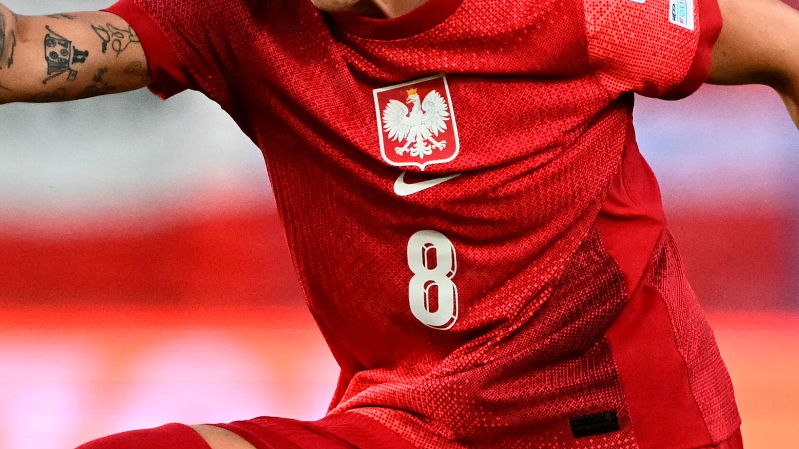 Polen - Bosnien-Hercegovina