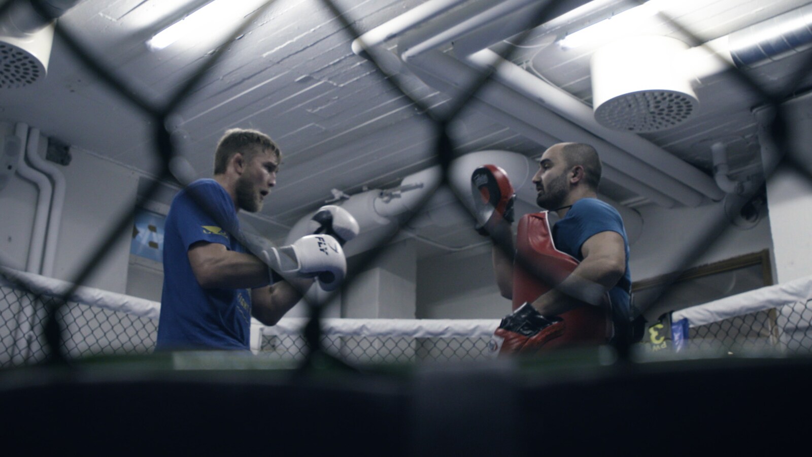 Inside:Alexander Gustafsson