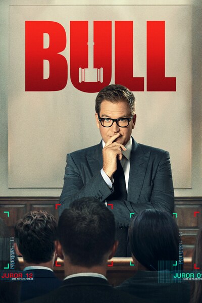bull