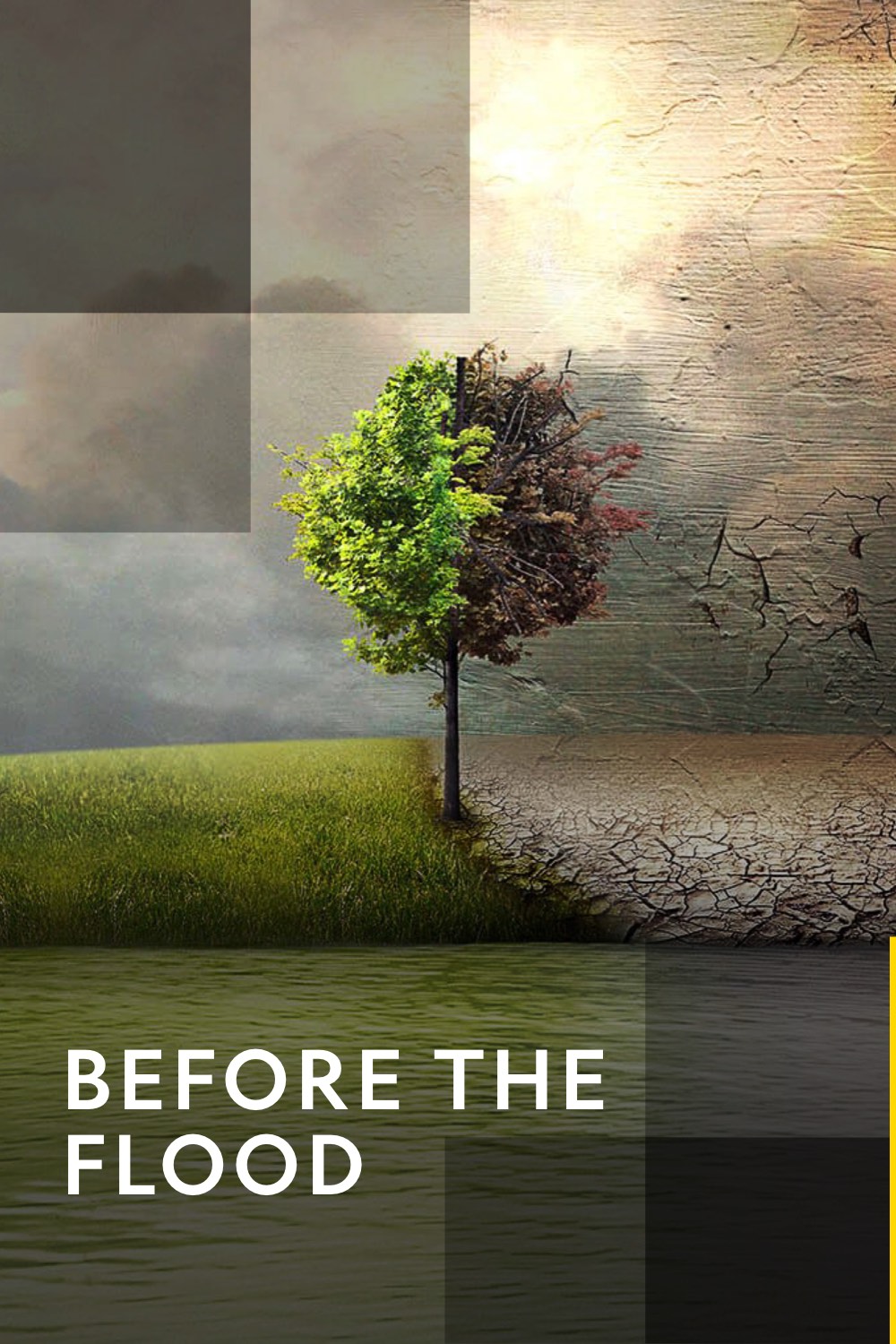 Before The Flood Film Online P Viaplay