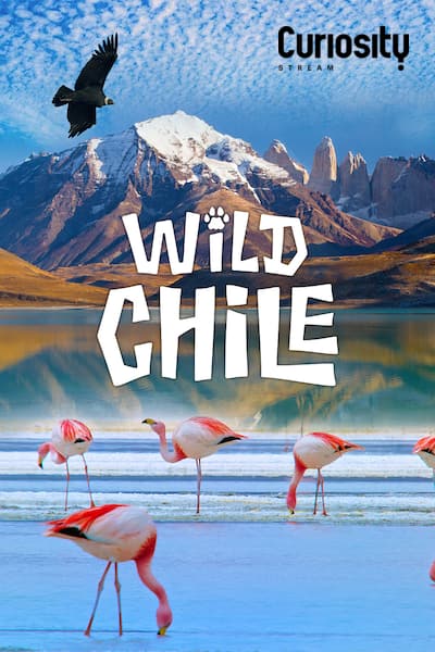 det-vilda-chile