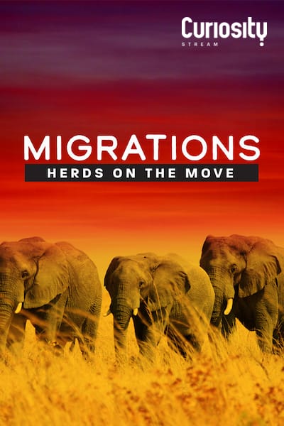 migrationer-flockar-som-flyttar-2020