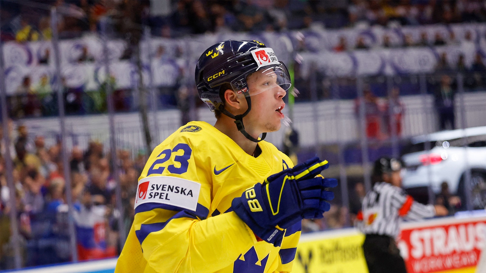 Sverige  - Tjekkiet