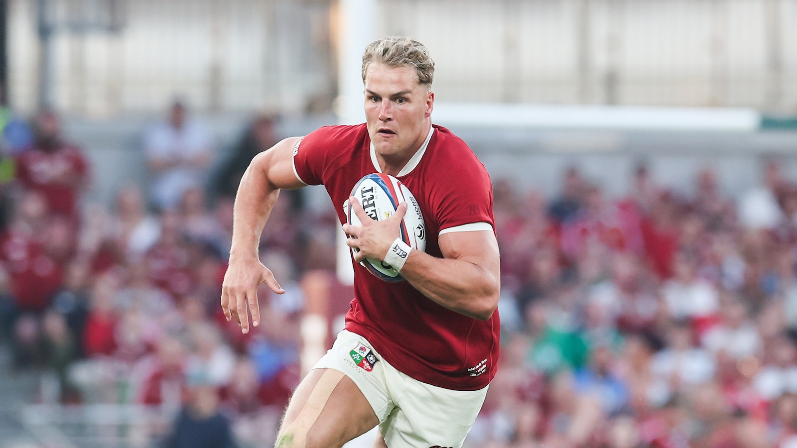 NSW Waratahs - The Lions