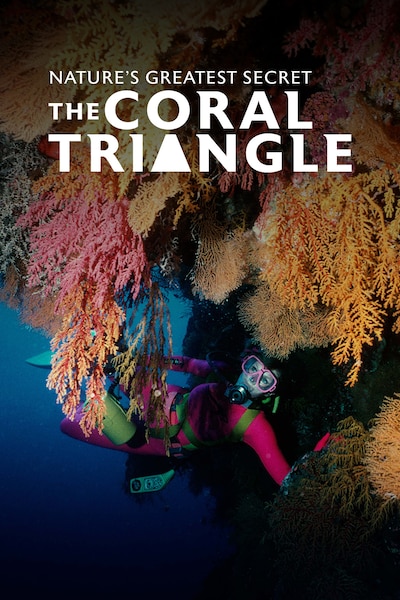 natures-greatest-secret-the-coral-triangle