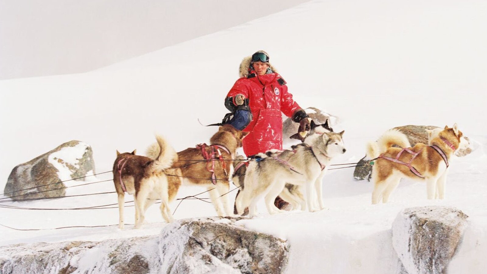 Eight Below