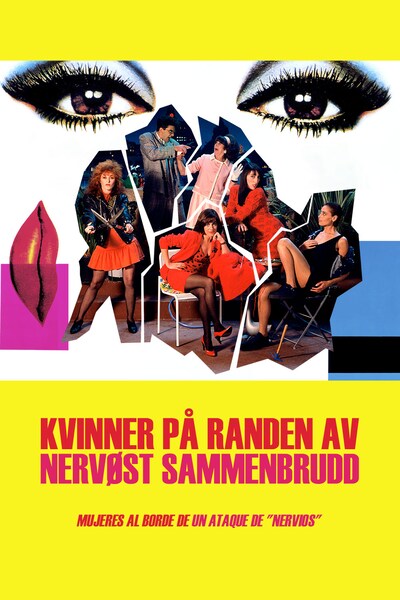kvinner-pa-randen-av-nervost-sammenbrudd-1988