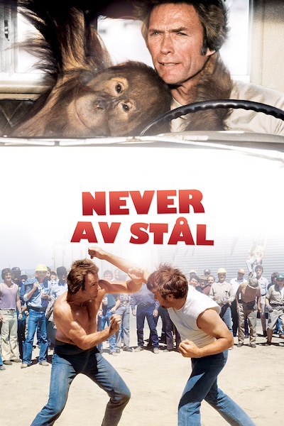 never-av-stal-1978