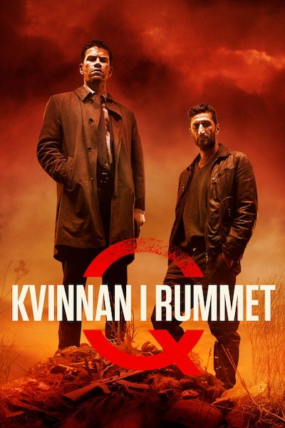 kvinnan-i-rummet-2013