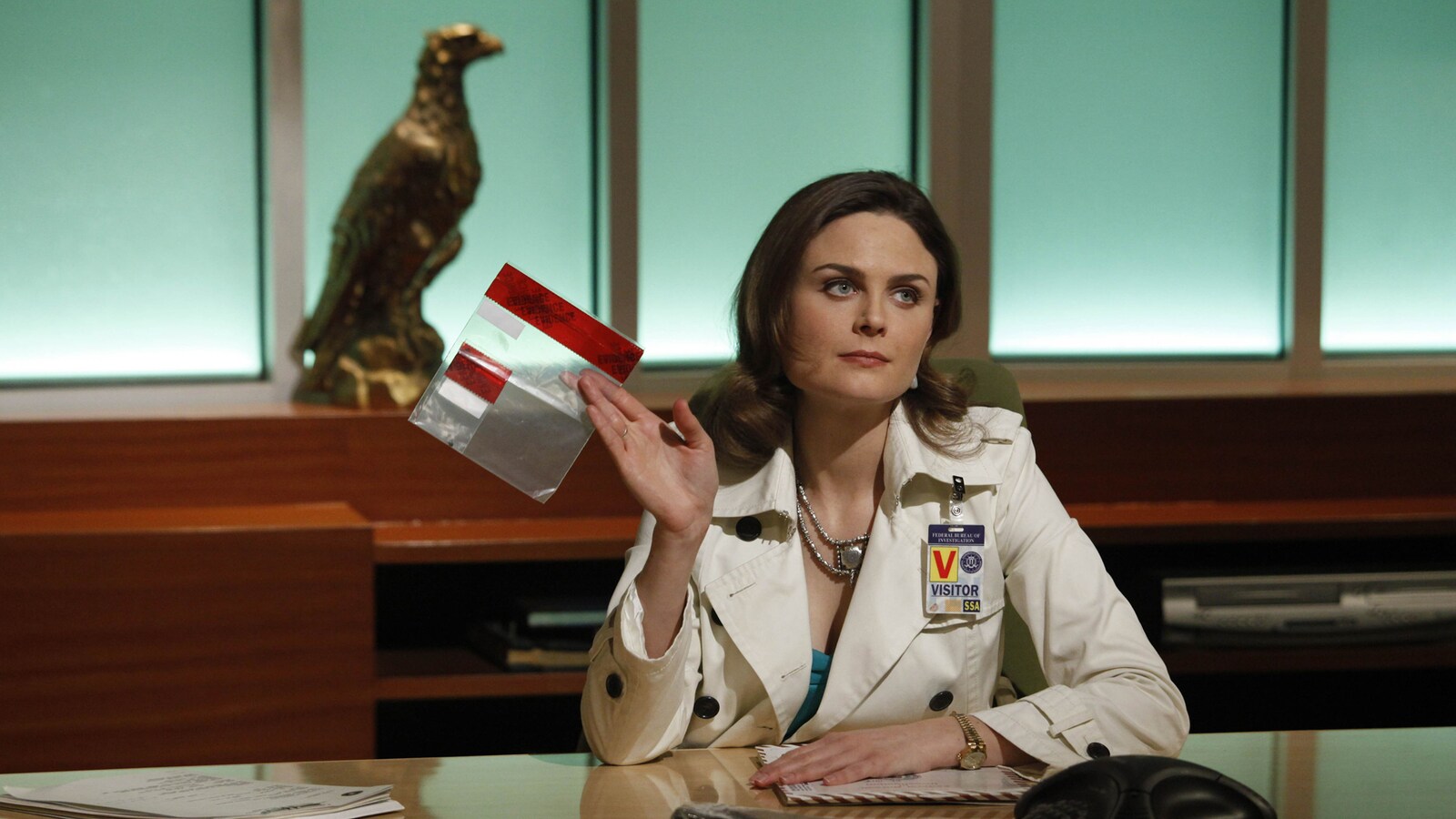 Bones on the Blue Line