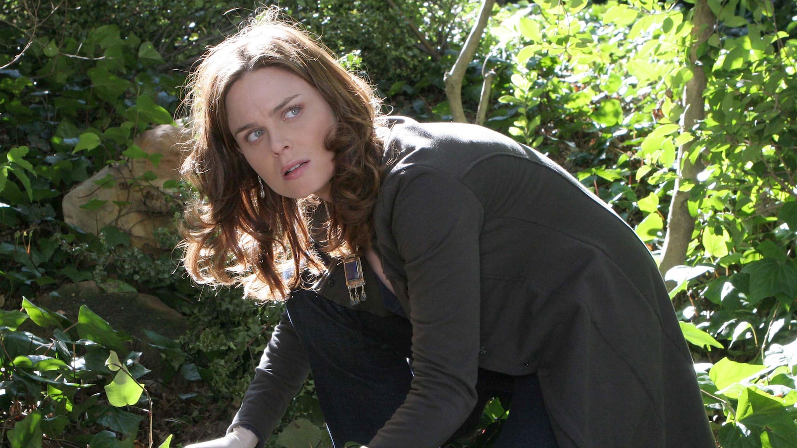 The Woman in the Garden