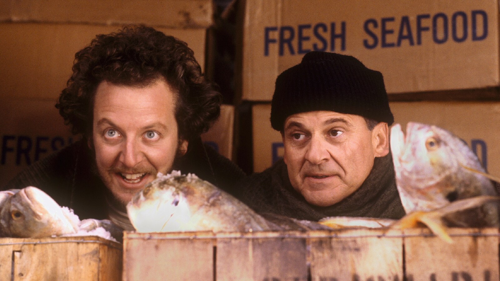 Home Alone 2: Lost in New York