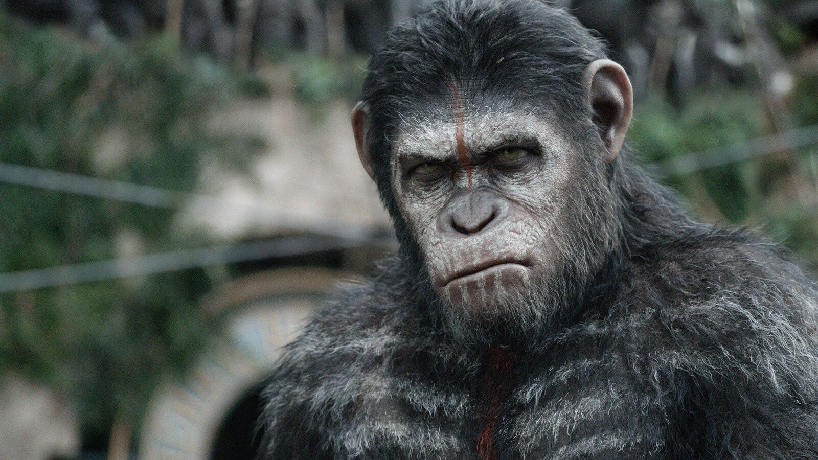 Dawn Of The Planet Of The Apes
