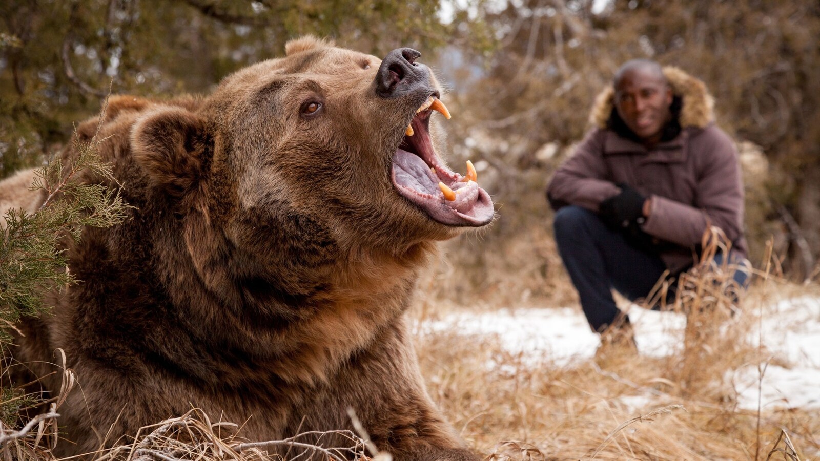 big-beasts-last-of-the-giants