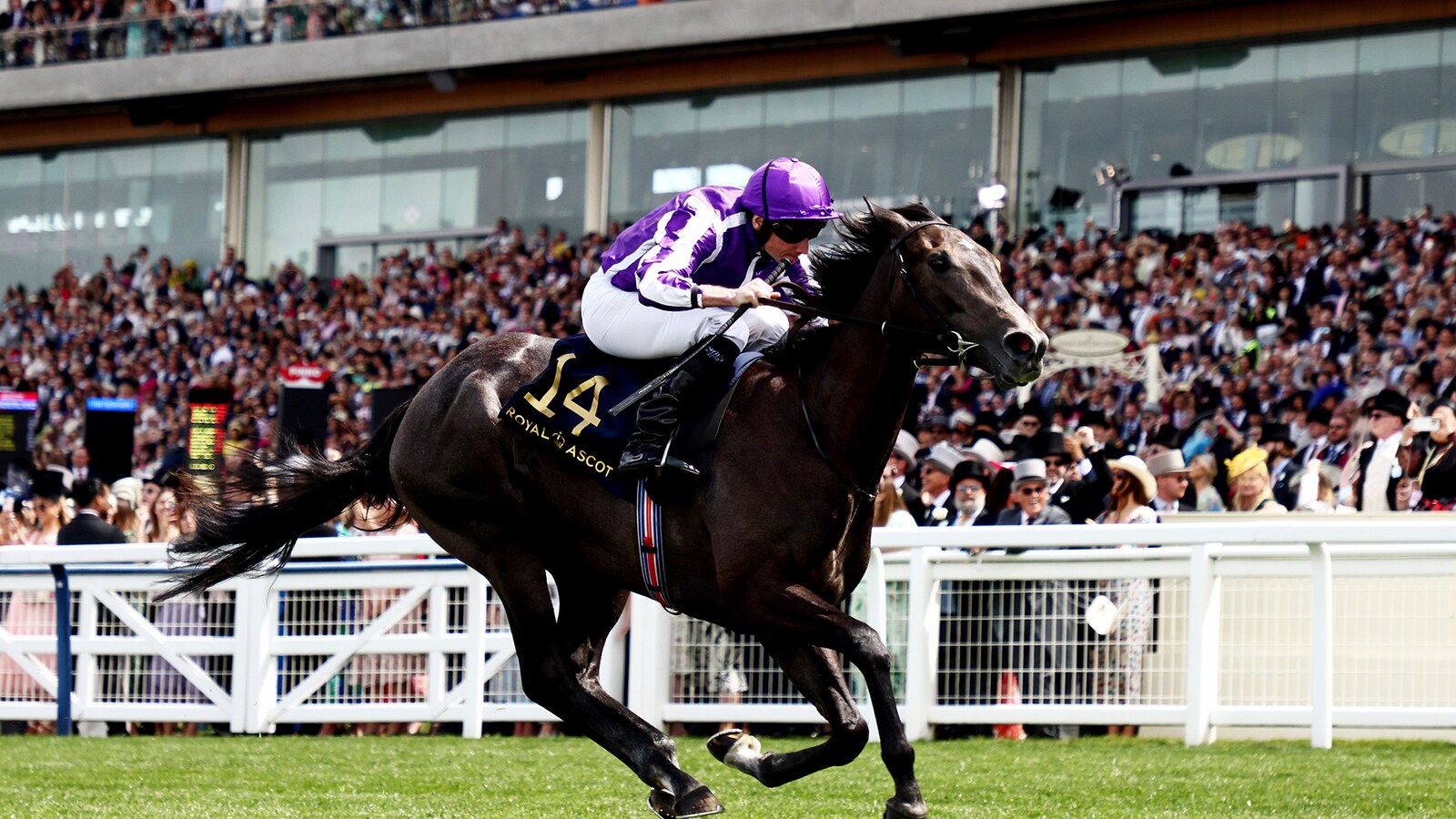 Royal Ascot