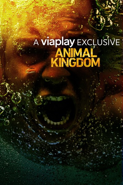 animal-kingdom