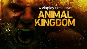 Animal Kingdom - TV-serier online - Viaplay.se