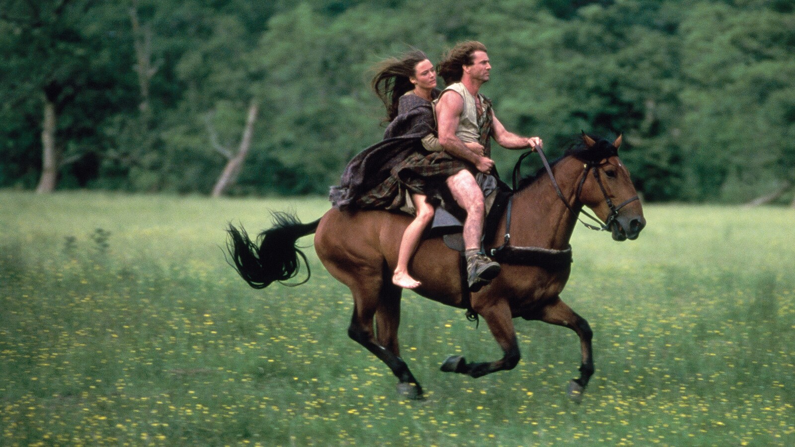 Braveheart - taipumaton