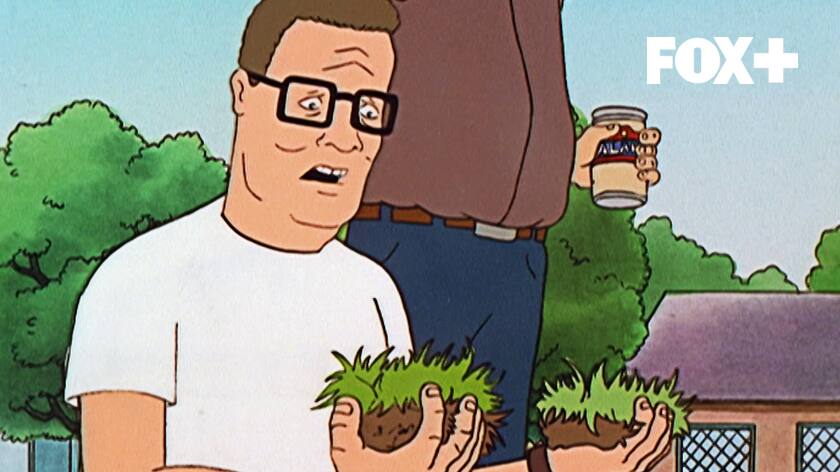 King of the Hill - Säsong 1 - Avsnitt 11 - TV-serier online - Viaplay