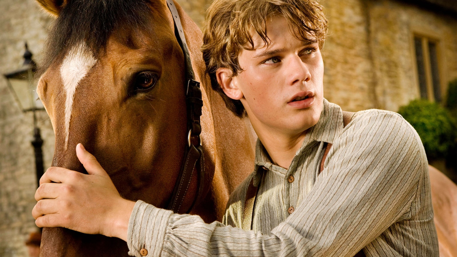 War Horse