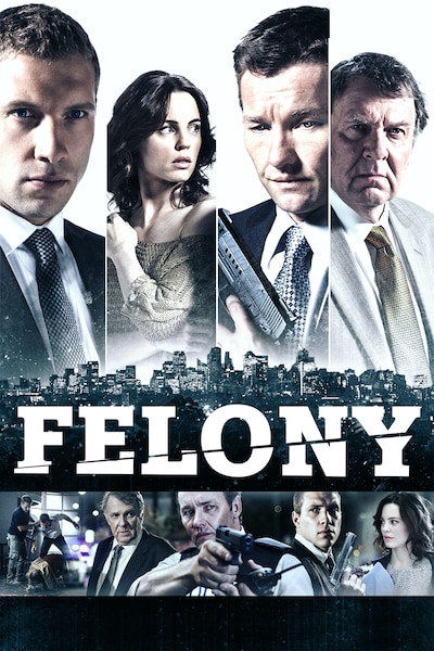 felony-2014