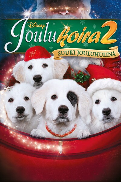 joulukoira-2-suuri-jouluhulina-2012