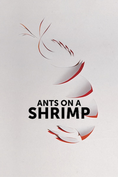 ants-on-a-shrimp-2016