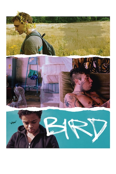 bird-2024