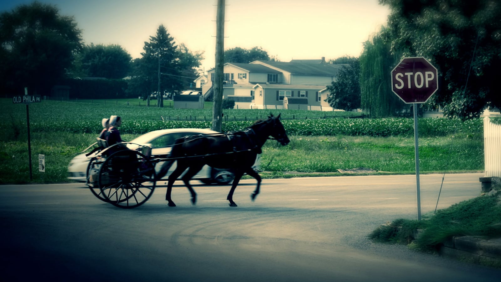 sins-of-the-amish