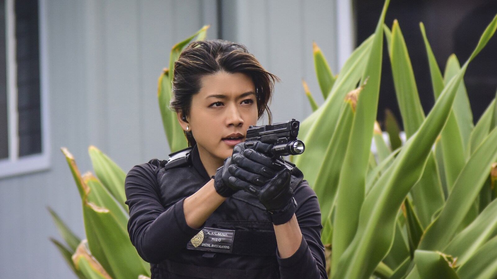 hawaii-five-0/sesong-7/episode-19