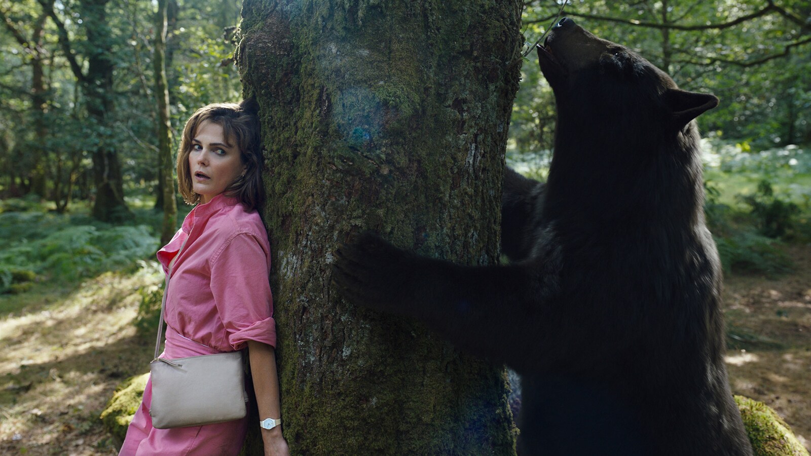 Cocaine Bear