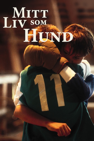 mitt-liv-som-hund-1985