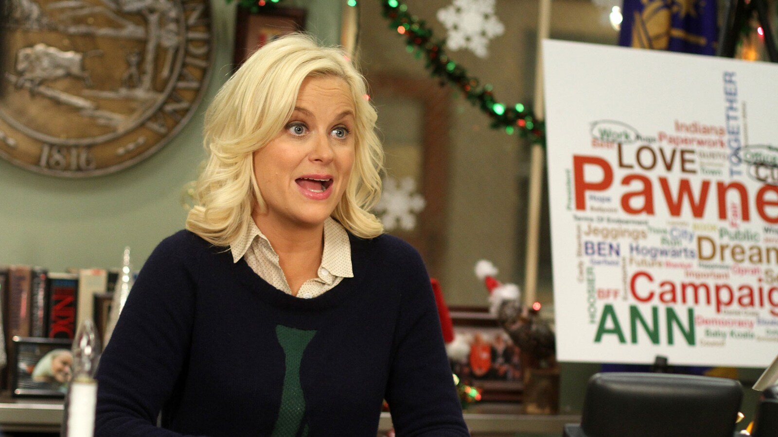 Citizen Knope
