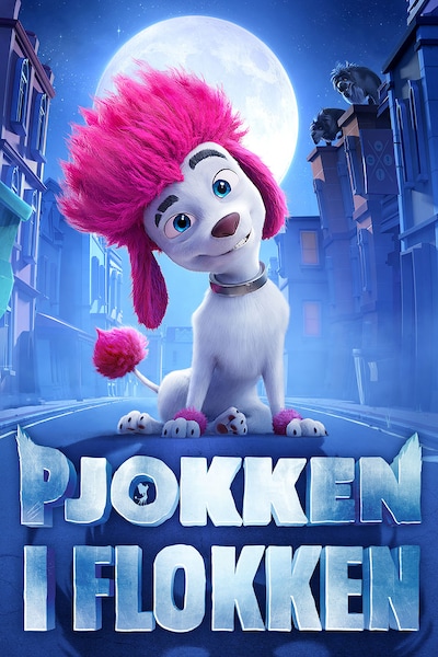 pjokken-i-flokken-2020