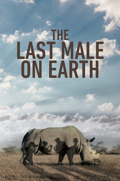 the-last-male-on-earth-2019