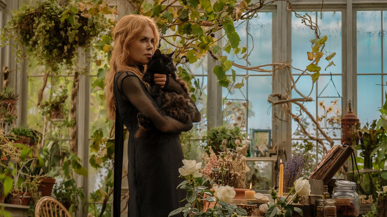 Practical Magic: Family Legacy