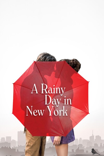 a-rainy-day-in-new-york-2019