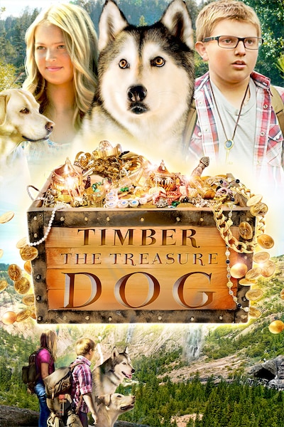 timber-the-treasure-dog-2016