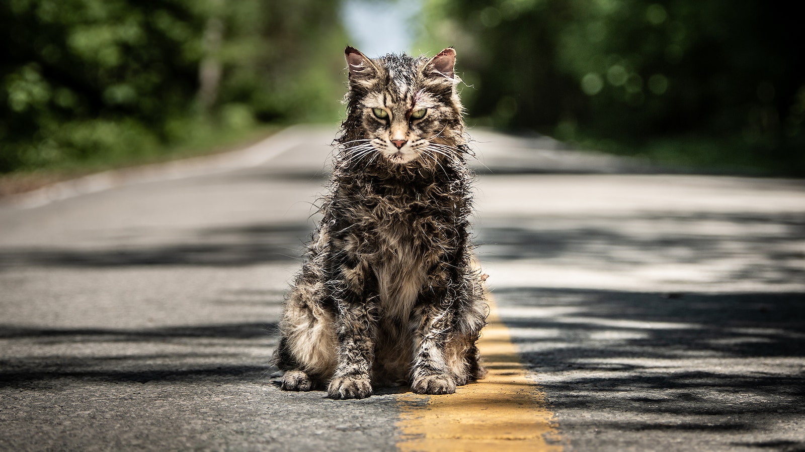 pet-sematary-2019