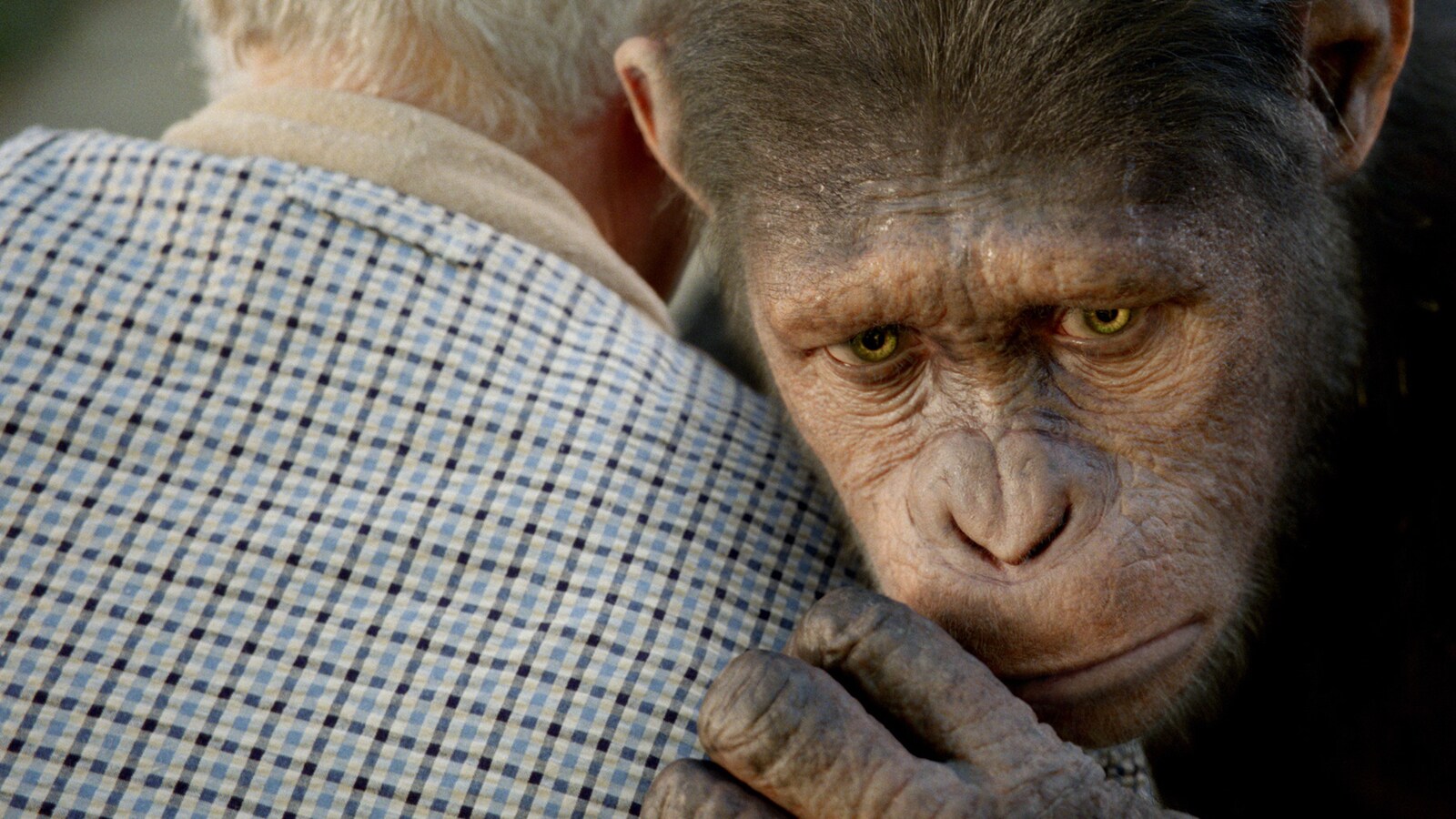 Rise of the Planet of the Apes