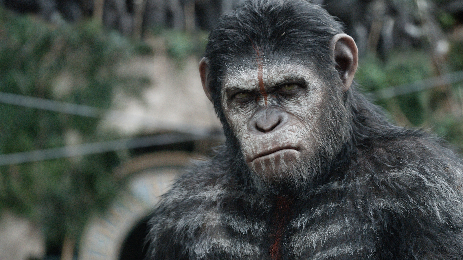 Dawn of the Planet of the Apes