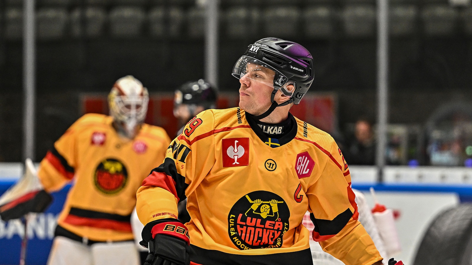 Pinguins Bremerhaven - Luleå