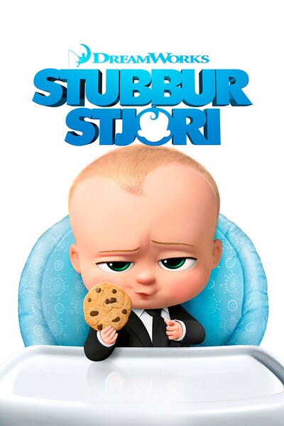 stubbur-stjori-2017