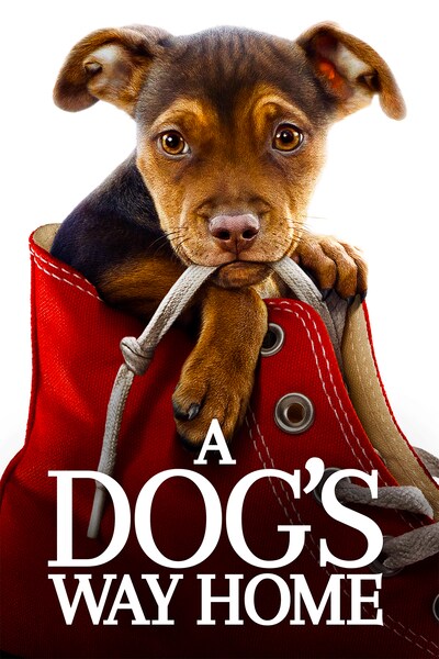 a-dogs-way-home-2019