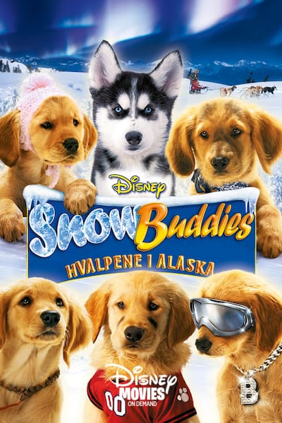 snow-buddies-hvalpene-i-alaska-2008