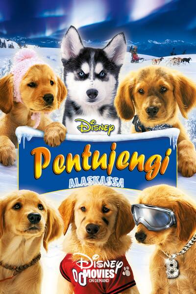 pentujengi-alaskassa-2008